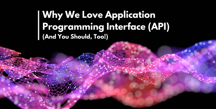 What is an Application Programming Interface (API)?